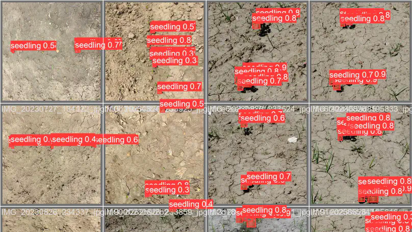 Crop-seedlings detection and segmentation from UAV/Drone images